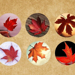 Maple Leaf Charms Glass Photo Cabochon Handmade Glass Cabochon Image Glass Dome Bead 12mm 14mm 16mm 18mm 20mm 25mm 30mm-br013