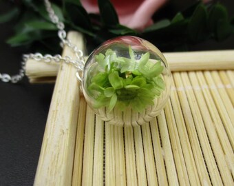 本物の花（グリーン）ネックレス 丸いガラスボトルペンダント 明るい