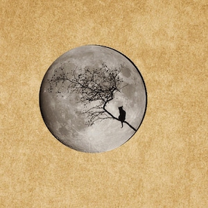 May include: A black cat sits on a branch of a bare tree silhouetted against a full moon.