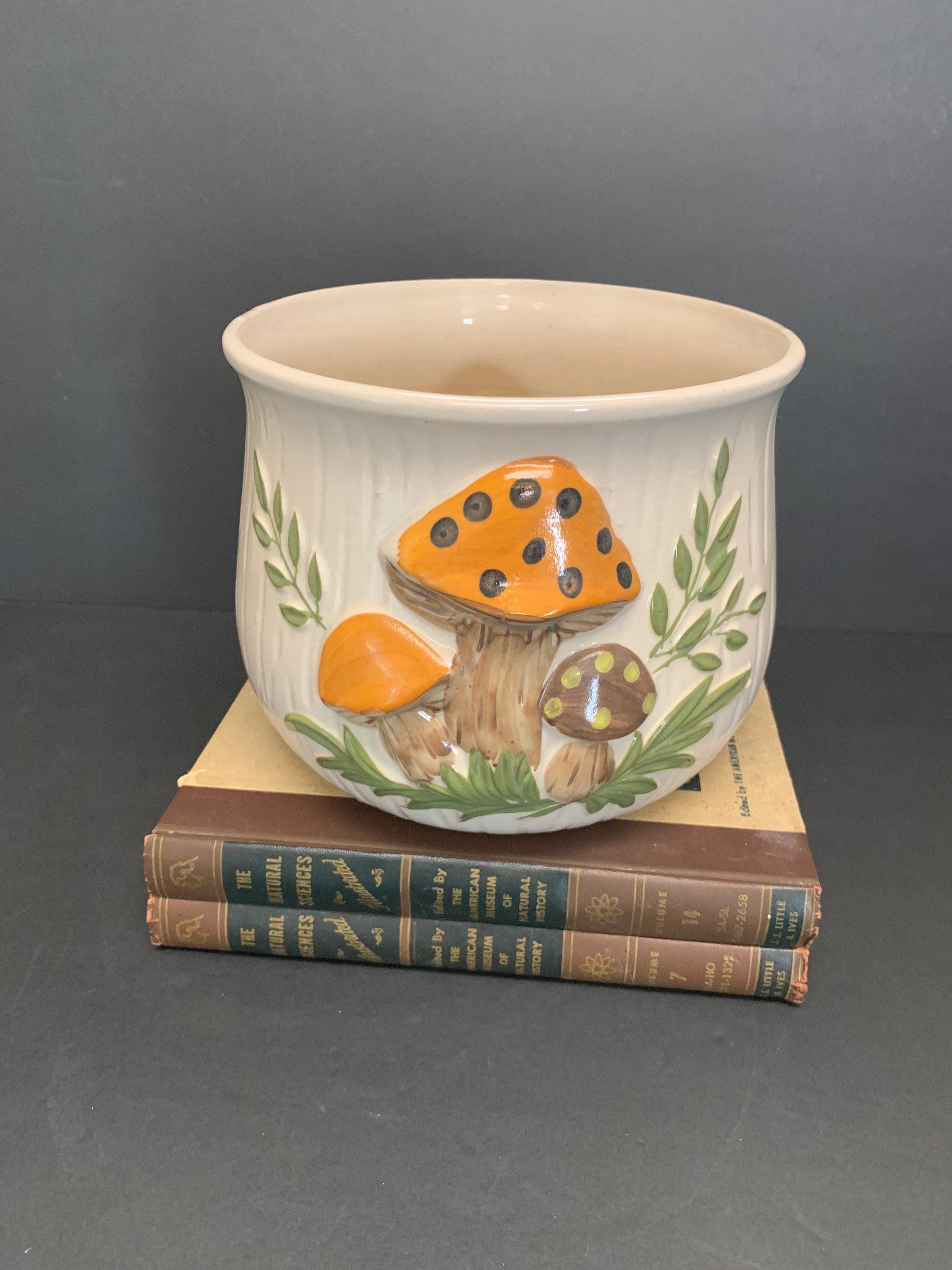 アンティーク マッシュルーム　ポッテリー il_fullxfull.4026655459_cy7t.jpg