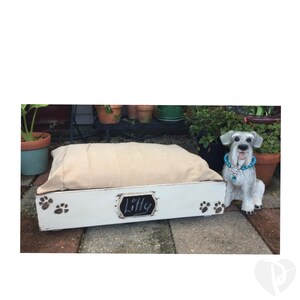 Pet Dog Cat Bed Custom Decor Furniture Bedding