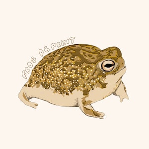 Sapo de cartão postal com impressão artística [pequeno, mínimo, cottagecore, caprichoso, vila]