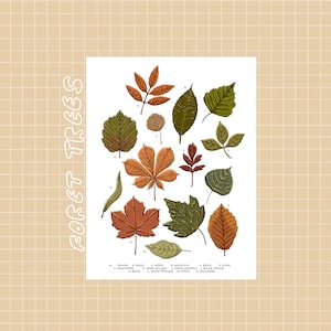 forest trees leaves illustration art print postcard [ small, minimal, cottagecore, whimsical, village ]