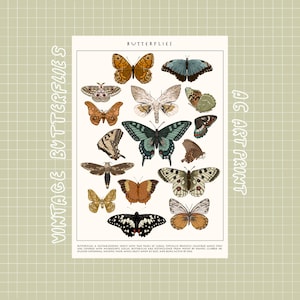 Retro butterfly science art print postcard [ small, minimal, cottagecore, whimsical, village ]