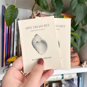 May include: Two small cream-coloured books titled "MINI TREASURES important lessons" with a seashell illustration. The author's name, "BY EMI AMBURD," is printed below. The books are held in front of a bookshelf with books and plants.