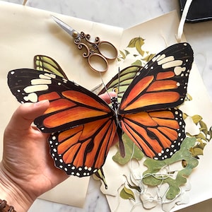 Monarch butterfly Paper specimen digital download (bug, insect, entomology, natural history, school resource)