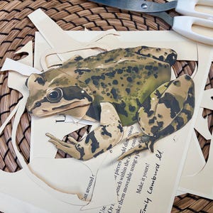 Könnte beinhalten: Ein Papierschnitt eines Frosches mit olivgrüner und dunkelbrauner Fleckenzeichnung, der auf einem bedruckten Blatt Papier mit dem Text "Make it yours!" und "Emily Lamburd" liegt, begleitet von einer Metallschere mit weißen Griffen.