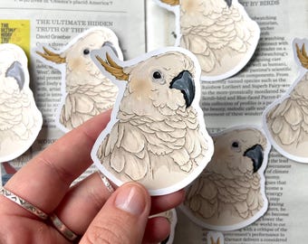 May include: A collection of white cockatoo stickers. Each sticker features a detailed illustration of the bird with its distinctive crest, black beak, and yellow accents. The stickers are on a newspaper background.