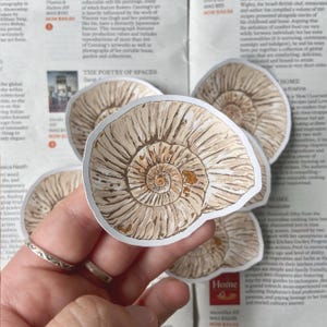 Ammonite Fossilien Geschichte handgemachte Vinyl-Aufkleber; Bullet Journal Aufkleber; Dekorieren und Scrapbooking; Planer Aufkleber; Laptop Aufkleber