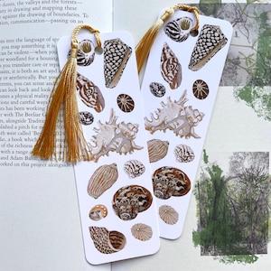 Shell Bookmark: Hand Drawn Land or Sea Illustration
