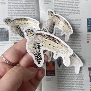 Historia de la tortuga carey: pegatinas de vinilo hechas a mano; pegatinas para bullet journal; pegatinas para decoración y scrapbooking; pegatinas para planificador; pegatinas para portátil