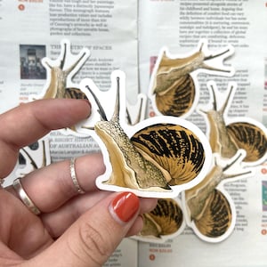 Adesivi in vinile fatti a mano con lumache da giardino; Adesivi per Bullet Journal; Decorazioni e scrapbooking; Adesivi per planner; Adesivi per laptop