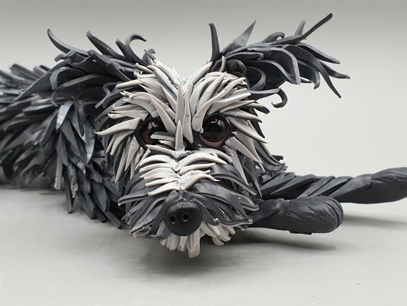 large rough haired dog