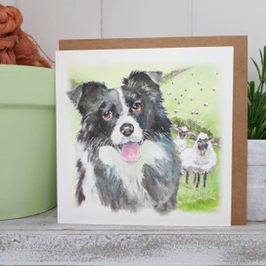 Border Collie Dog Card - Collie Dog Greetings Card- Collie Dogs And Sheep - Greeting card - Collie Birthday Card - Dog Lovers ---code oaf08
