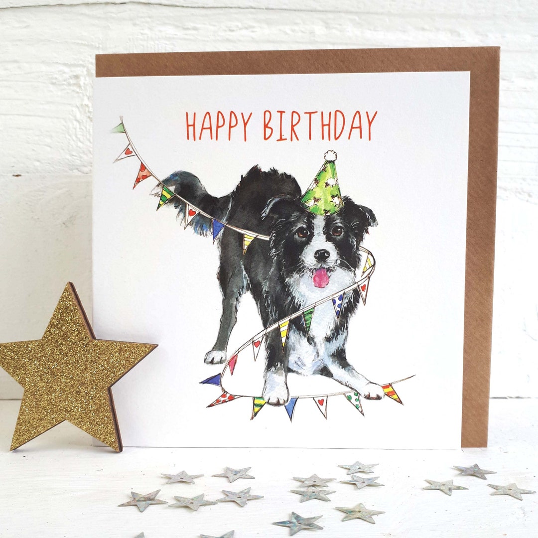 Border Collie Birthday Card: Hand-drawn Dog Greetings Card - Etsy UK