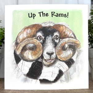 May include: A greeting card featuring a cartoon illustration of a ram wearing a black and white scarf. The text "Up The Rams!" is written in black on a green background.