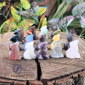 1.2&quot; Mini Wolf Figurine Home Decoration,Carved Fluorite Amethyst Rose Quartz Opal Wolf Statues Animal Hand Carved Spirit Totem Kids Gifts