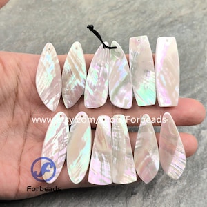 May include: A collection of iridescent, pearlescent shell pendants in various shapes, including teardrops, rectangles, and trapezoids. Each pendant has a hole for stringing. The Forbeads logo and website address are visible.