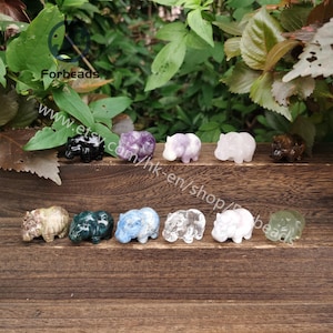 Puede incluir: Diez pequeñas figuritas de hipopótamo talladas en varias piedras semipreciosas. Las piedras incluyen amatista, cuarzo rosa, cuarzo transparente, aventurina verde, ojo de tigre y obsidiana negra. Las figuritas están dispuestas en fila sobre una superficie de madera.