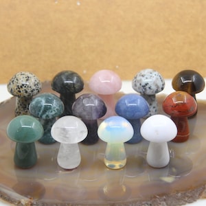 13 Stone Choice,2 Inch Gemstone Mushroom Decor,Hand Carved Crystal Mushroom Figurine Gifts,Healing Amethyst/Jasper/Jade/Rose Quartz/Opal