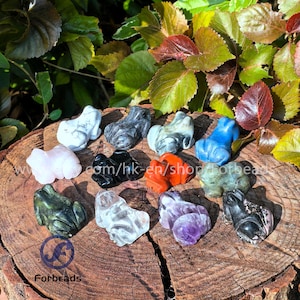 Puede incluir: Una colección de 13 figuritas de rana talladas en diferentes tipos de piedra, incluyendo verde, negro, blanco, rojo, azul y morado. Las figuritas están dispuestas sobre una superficie de madera.