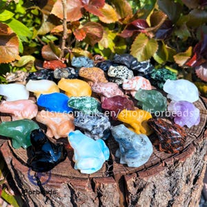Puede incluir: Una colección de 20 figuritas de rana talladas a mano en piedras preciosas en varios colores y patrones, incluyendo verde, azul, rojo, amarillo, negro, blanco y marrón. Las ranas están dispuestas sobre un tocón de árbol.