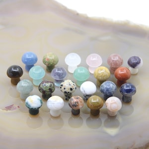 Natural Gemstone Mini Mushroom,Healing Crystal Carved Mushroom Decor Gift,Rose Quartz Fluorite Labradorite Jasper Sakura Agate Pocket Stone