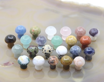 May include: A collection of 25 small, colorful, polished stone mushroom figurines. The mushrooms are made of various types of stones, including agate, jasper, and quartz. They are arranged in a circle on a white background.