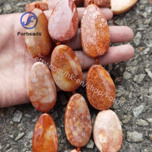 Op de afbeelding: Een streng oranje en witte gefossiliseerde koraal kralen. De kralen zijn traanvormig en hebben een natuurlijke, organische uitstraling. De kralen zijn geregen op een bruin koord.