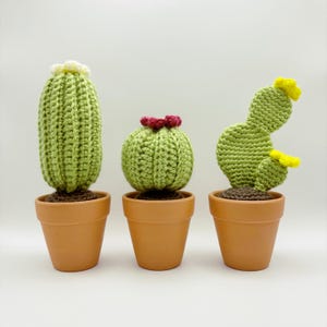 Crochet Cactus---crochet succulents-potted plant-faux plant-gifts-home decor-farmhouse decor-rustic decor