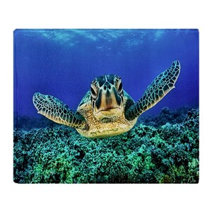 Aquatic Sea Turtle Plush Throw Blanket