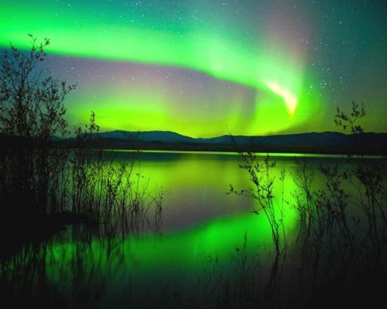 May include: A vivid display of the aurora borealis, with green and purple hues, reflected in a tranquil lake. Silhouetted trees frame the foreground, creating a dramatic natural scene. A beautiful nightscape.