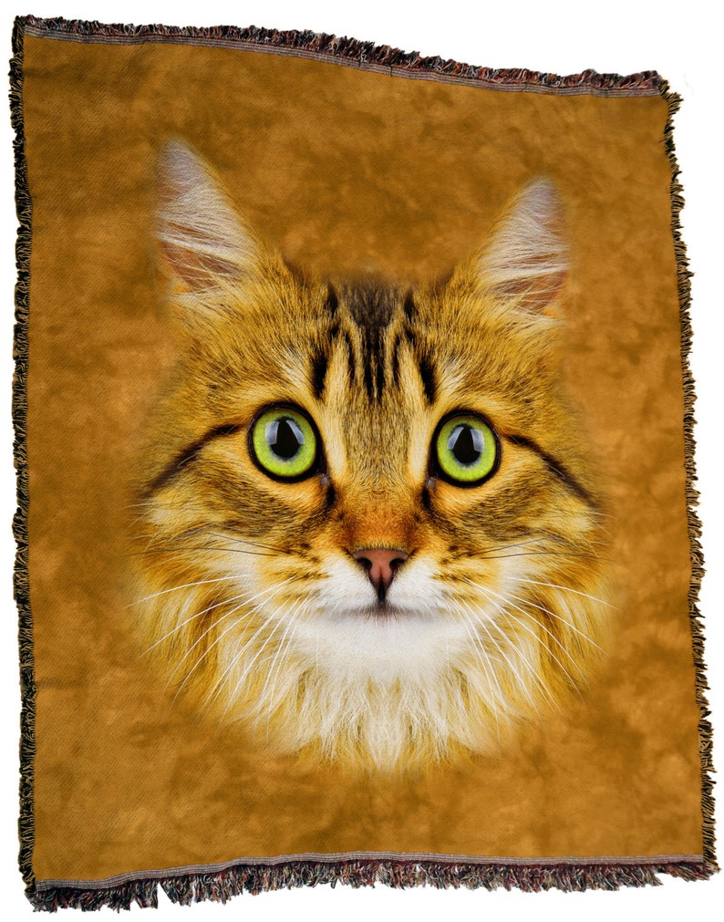 Longhaired Tabby Cat Face Throw Blanket Tapestry Wall Hanging