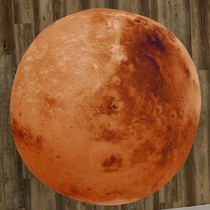 May include: A round rug featuring a detailed depiction of the planet Mars. The rug's surface is primarily orange and brown, with craters and variations in color to mimic the planet's surface. The rug is placed on a wooden floor.