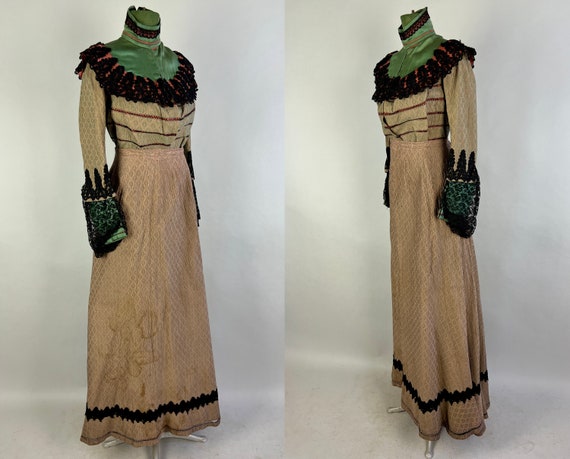 1800s Distinguished Delilah Dress Ensemble | Vict… - image 5