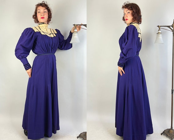 1900s Resplendently Regal Dress Ensemble | Antiqu… - image 7