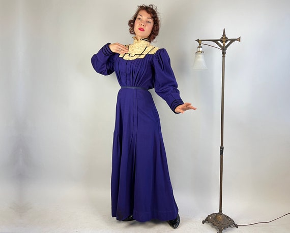 1900s Resplendently Regal Dress Ensemble | Antiqu… - image 2