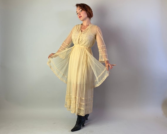 1910s Ethereal Garden Gown | Vintage Teens Antiqu… - image 2