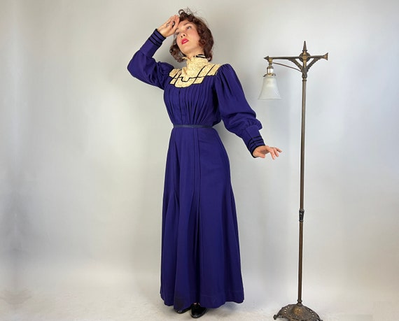 1900s Resplendently Regal Dress Ensemble | Antiqu… - image 5