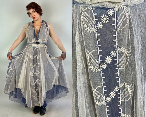 1910s Net of Love Dress | Vintage Teens Antique Edwardian Periwinkle and White Layered Soft Tulle Tea Frock with Embroidery | Medium/Large