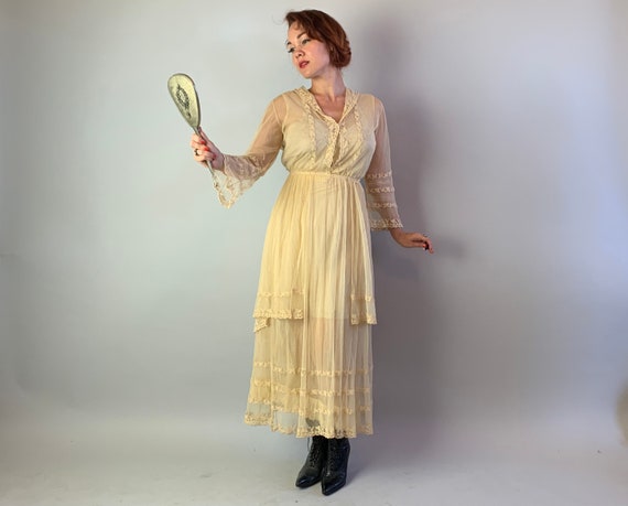 1910s Ethereal Garden Gown | Vintage Teens Antiqu… - image 3