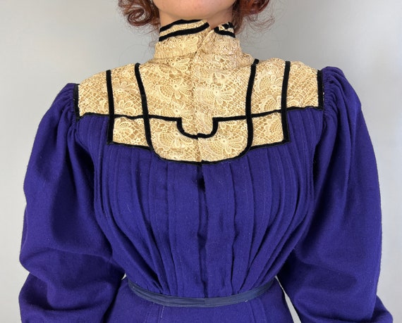 1900s Resplendently Regal Dress Ensemble | Antiqu… - image 3