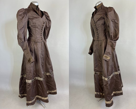 1800s Milady's Mutton Sleeves Ensemble | Antique … - image 4