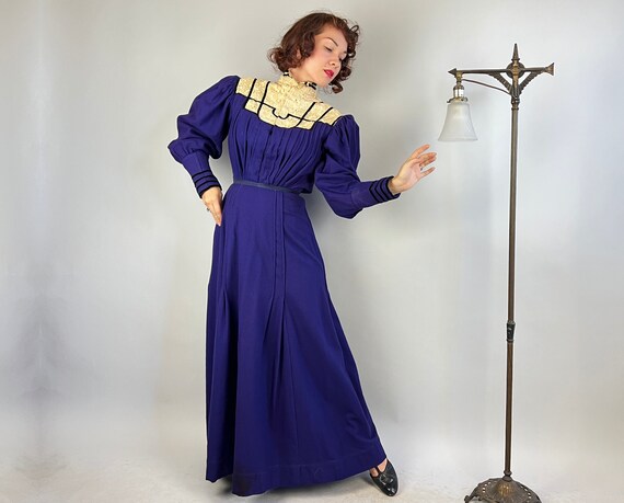 1900s Resplendently Regal Dress Ensemble | Antiqu… - image 4