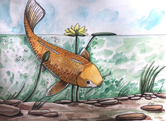 Wohnkultur Koi Kunst Japanischer Zeichnung Fisch Wand Österreich Teich Natur Kunst Aquarell detailreich Etsy Karpfen Malerei Illustration -