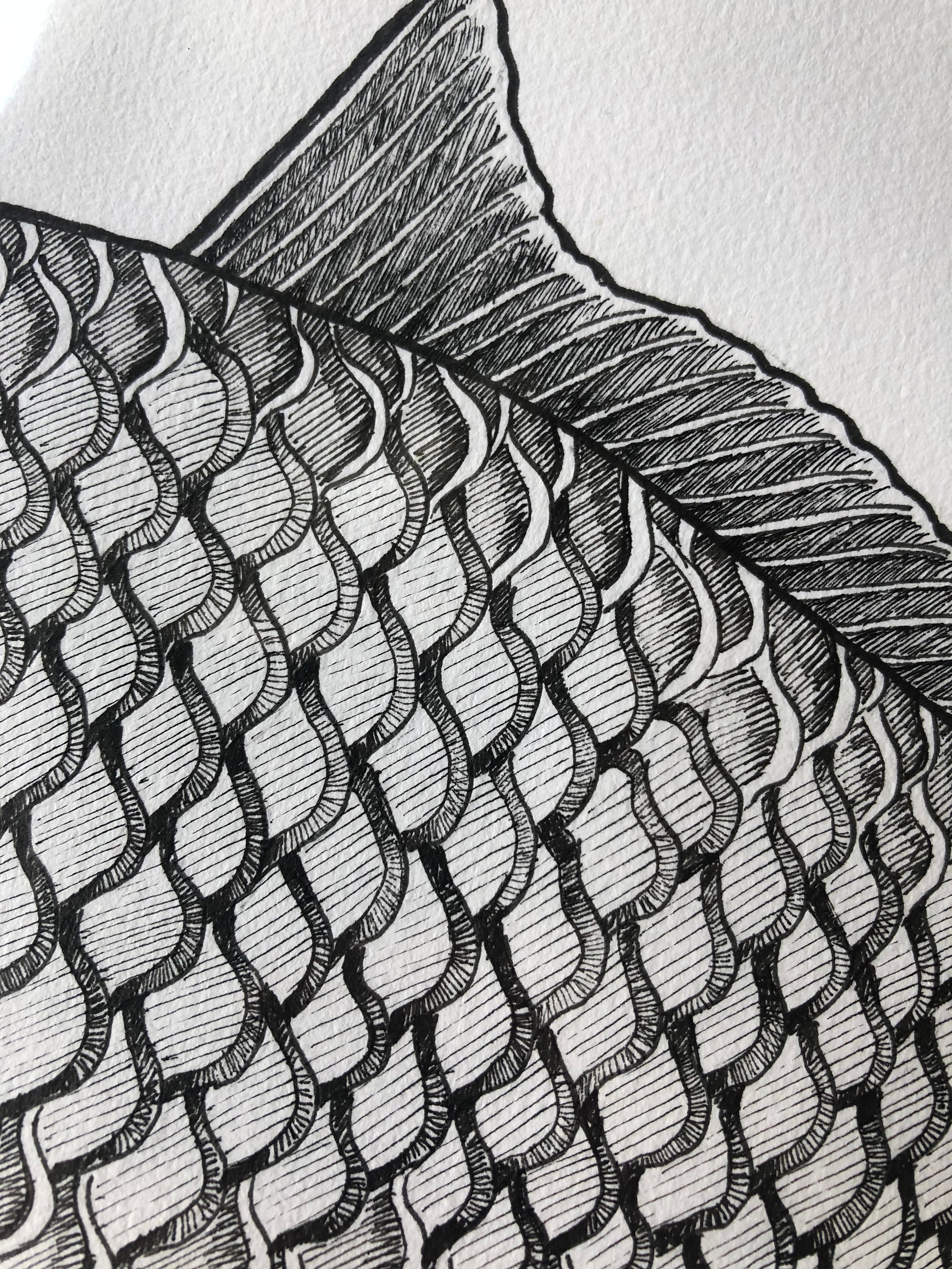 Buy Carp Fish Illustration Black White Drawing Underwater Painting Gift for  Fisherman Gift for Him Wood House Decor Art for Mancave Custom Gift Online  in India 