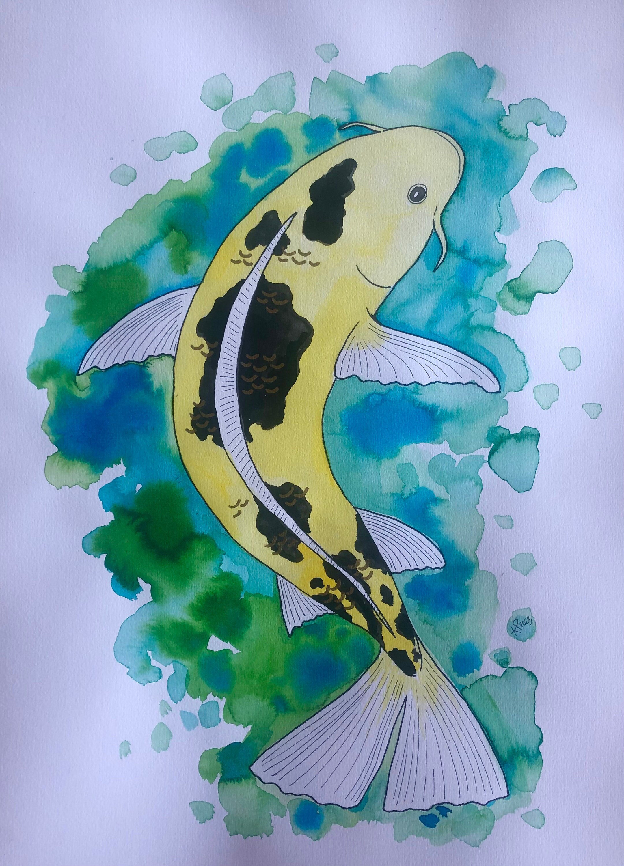Bekko Koi