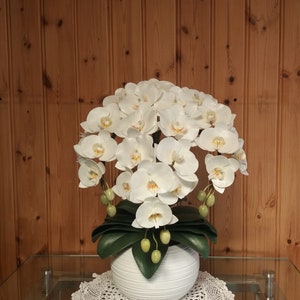 White orchid with led lamp. Giant flower lamp.Nicht lichting.Table lamp