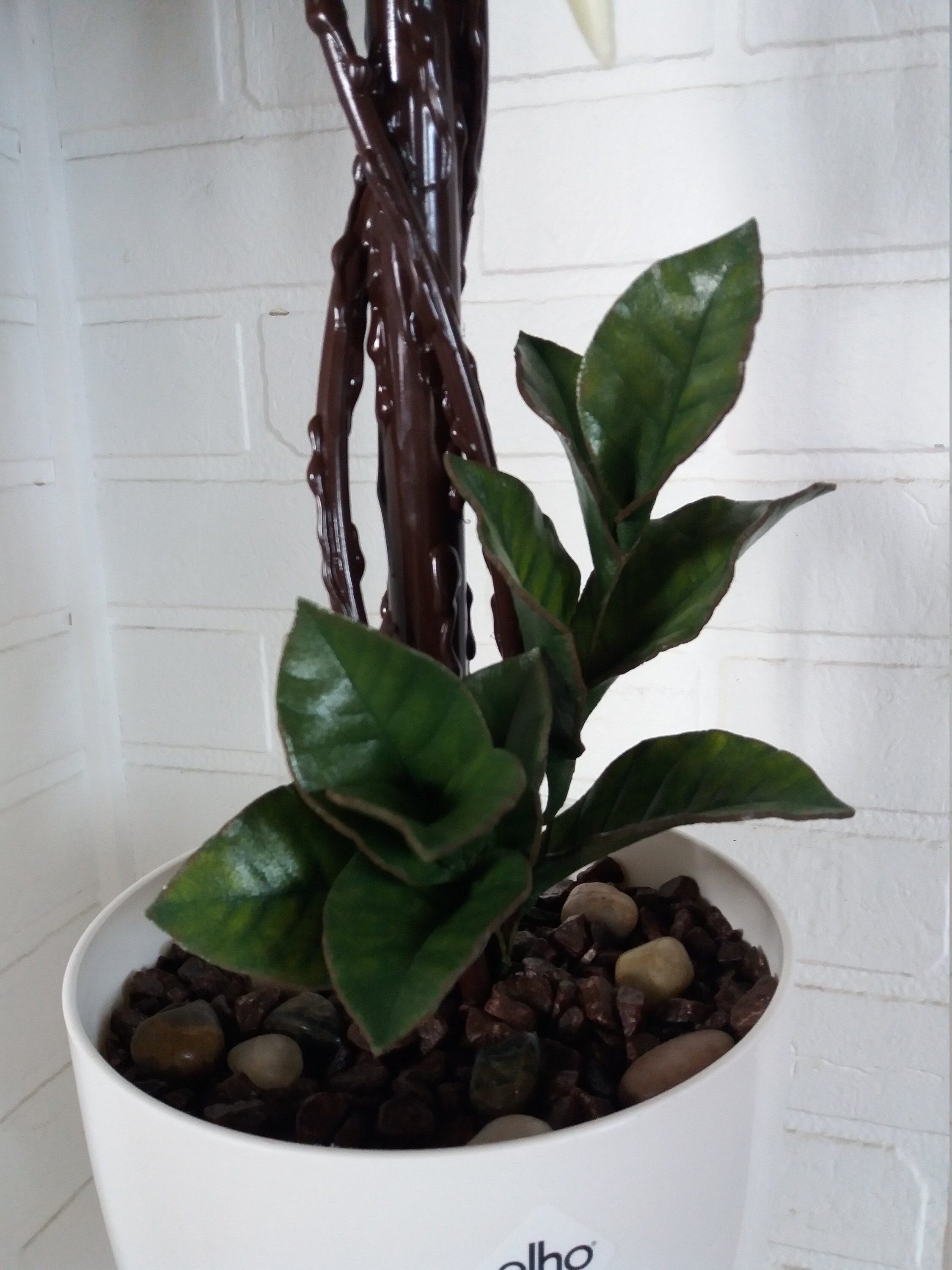 Giant Flower Lamp.white Wisteria Lamp.interior Flower Lamp.led Etsy UK