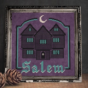 Può includere: Un ricamo a punto croce incorniciato con uno sfondo viola e un bordo turchese. Il disegno raffigura tre case con una mezzaluna sopra di loro e la parola "Salem" in un font gotico.